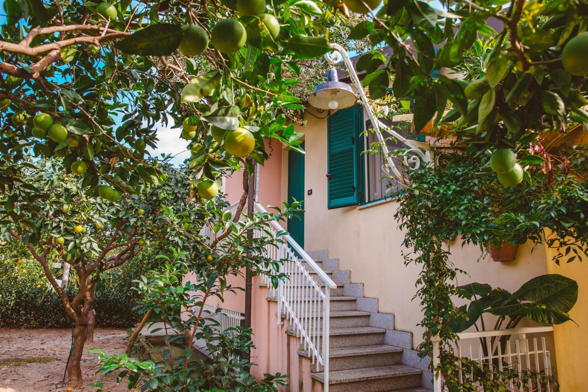 Agriturismo Villa Vittoria Guardavalle 외부 사진